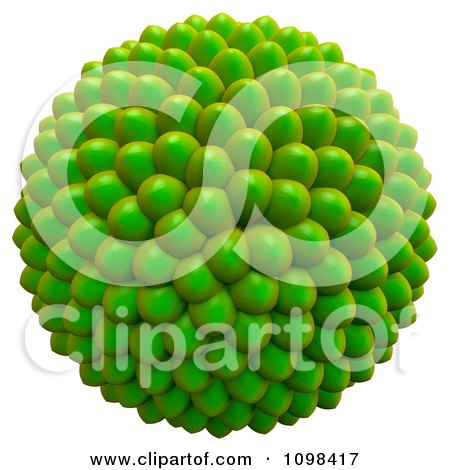 Clipart 3d Green Cluster Of Seeds An Example Of A Fibonnacci Pattern - Royalty Free CGI Illustration by Leo Blanchette