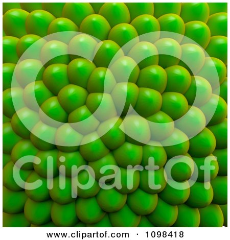Clipart 3d Green Cluster Of Seeds Background An Example Of A Fibonnacci Pattern - Royalty Free CGI Illustration by Leo Blanchette