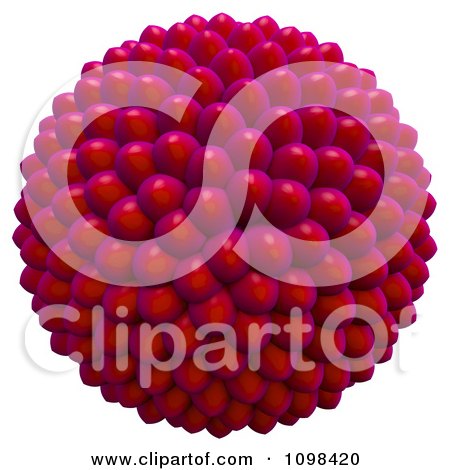 Clipart 3d Red Cluster Of Seeds An Example Of A Fibonnacci Pattern - Royalty Free CGI Illustration by Leo Blanchette