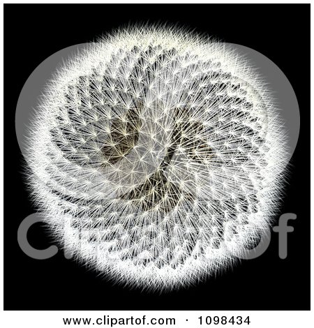 Clipart 3d Dandelion Seed Head With A Fibonacci Sequence Pattern 2 - Royalty Free CGI Illustration by Leo Blanchette
