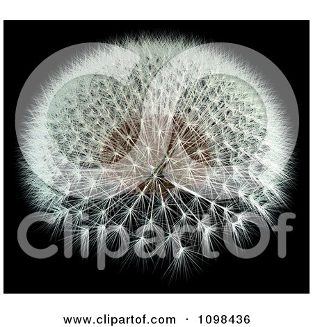 Clipart 3d Dandelion Seed Head With A Fibonacci Sequence Pattern 1 - Royalty Free CGI Illustration by Leo Blanchette