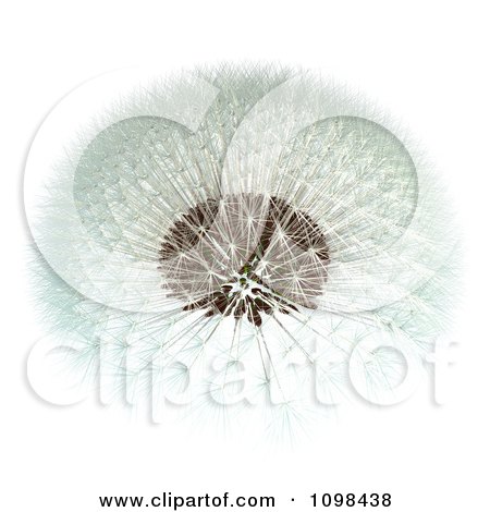 Clipart 3d Dandelion Seed Head Shown With A Fibonacci Sequence Pattern 1 - Royalty Free CGI Illustration by Leo Blanchette