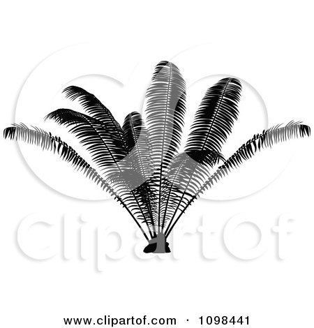 Clipart Silhouetted Palm Plant - Royalty Free Vector Illustration by dero