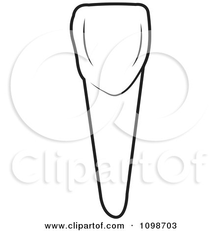 Clipart Outlined Human Canine Tooth 1 - Royalty Free Vector Illustration by Lal Perera