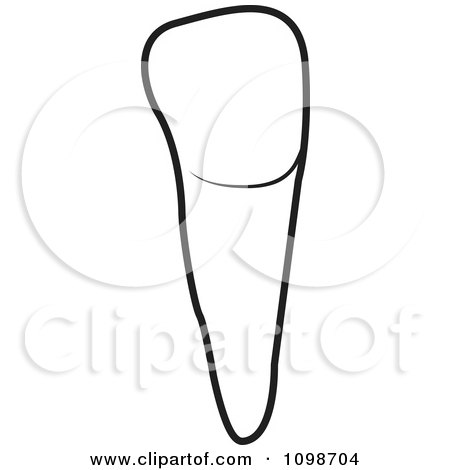 Clipart Outlined Human Canine Tooth 2 - Royalty Free Vector Illustration by Lal Perera