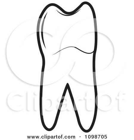 Clipart Outlined Human Bicuspid Tooth - Royalty Free Vector Illustration by Lal Perera