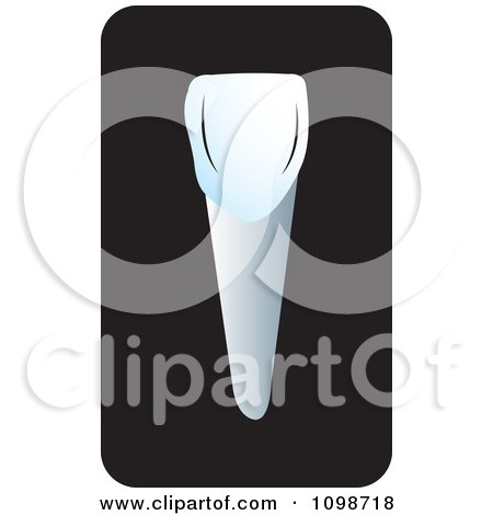 Clipart Human Canine Tooth Over Black 2 - Royalty Free Vector Illustration by Lal Perera
