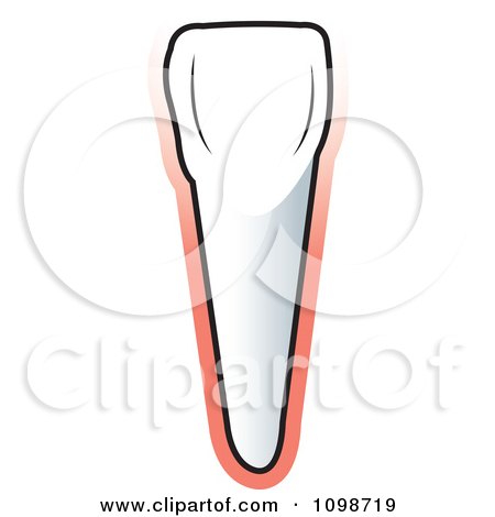 Clipart Human Canine Tooth On Pink - Royalty Free Vector Illustration by Lal Perera