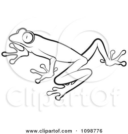 Clipart Outlined Poison Dart Frog - Royalty Free Vector Illustration by Lal Perera
