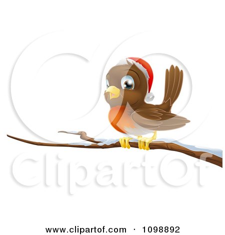 Clipart Happy Christmas Robin Wearing A Santa Hat And Perched On A Branch - Royalty Free Vector Illustration by AtStockIllustration
