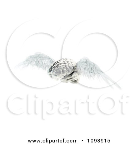 Clipart 3d Winged Brain Flying - Royalty Free CGI Illustration by Mopic