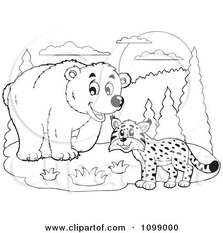 Clipart Outlined Bear And Wild Cat - Royalty Free Vector Illustration by visekart