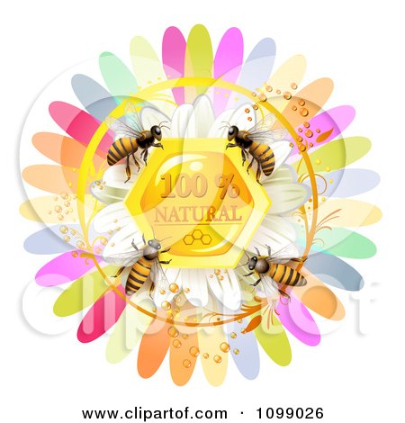 Clipart Group Of Honey Bees Over A Natural Honeycomb With Daisy And Colorful Petals - Royalty Free Vector Illustration by merlinul
