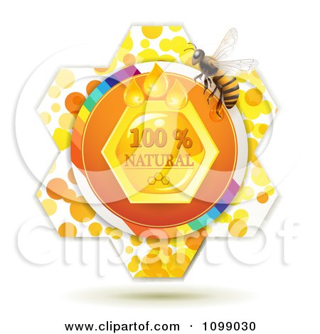 Clipart Natural Honey Comb And A Bee Over A Flower - Royalty Free Vector Illustration by merlinul