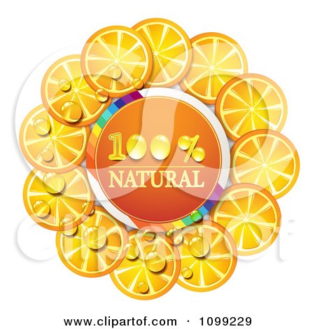 Clipart Circle Of Orange Slices Around A Natural Icon And Rainbow - Royalty Free Vector Illustration by merlinul