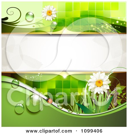 Clipart Background Of A Ladybug With Daisies Dew Green Foliage And Copyspace - Royalty Free Vector Illustration by merlinul