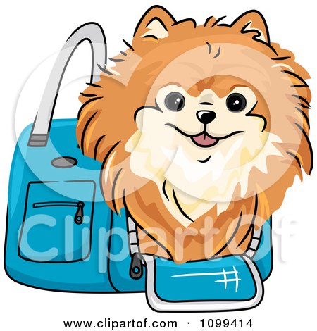 Clipart Happy Red Pomeranian In A Blue Dog Carrier Bag - Royalty Free Vector Illustration by BNP Design Studio