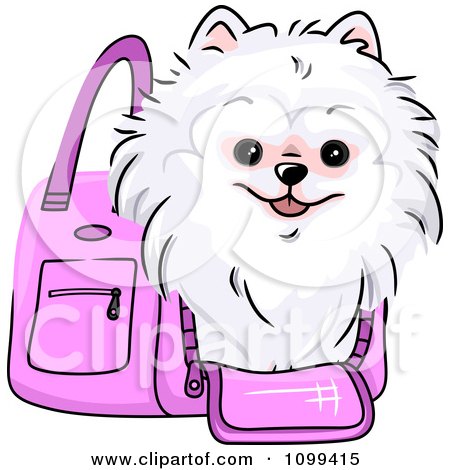 Clipart Happy White Pomeranian In A Pink Dog Carrier Bag - Royalty Free Vector Illustration by BNP Design Studio