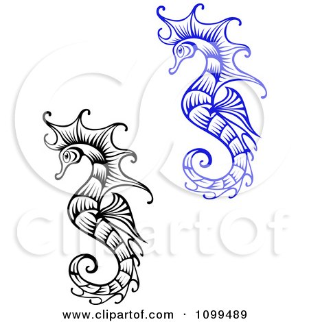 Clipart Ornate Black And White And Blue Seahorses - Royalty Free Vector Illustration by Vector Tradition SM