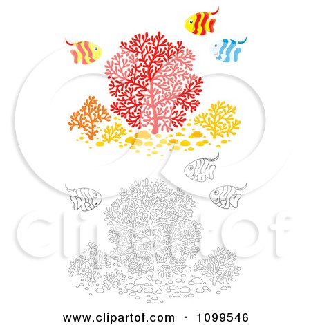 Clipart Striped Tropical Fish And Corals In Color And Black And White - Royalty Free Illustration by Alex Bannykh