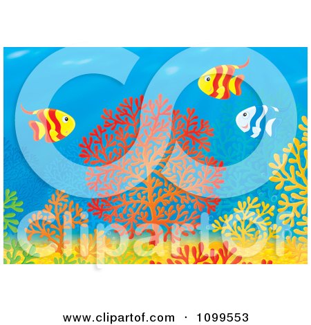 Clipart Striped Tropical Fish Over Colorful Corals At A Reef - Royalty Free Illustration by Alex Bannykh