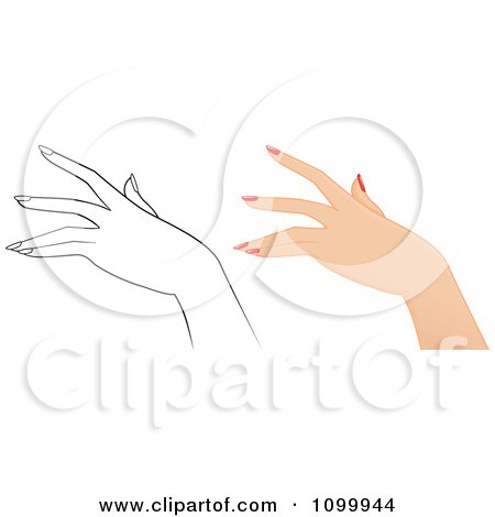 Clipart Womans Hand With Manicured Nails In Color And Outlined - Royalty Free Vector Illustration by Melisende Vector