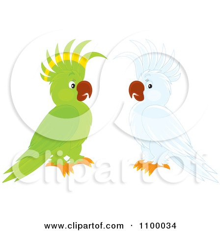Clipart Green Parrot And White Cockatoo - Royalty Free Vector Illustration by Alex Bannykh