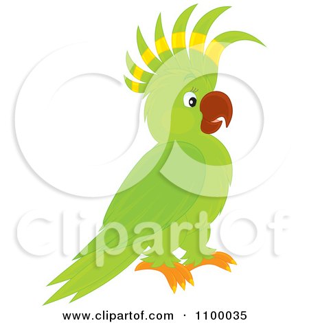 Clipart Green And Yellow Parrot - Royalty Free Vector Illustration by Alex Bannykh