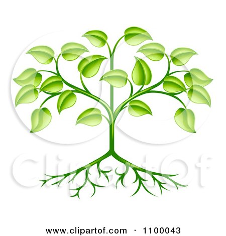 Clipart Organic Green Plant With Leaves And Roots - Royalty Free Vector Illustration by AtStockIllustration