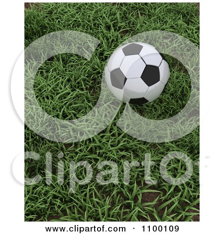 Clipart 3d Soccer Ball At Rest In Green Grass - Royalty Free CGI Illustration by KJ Pargeter