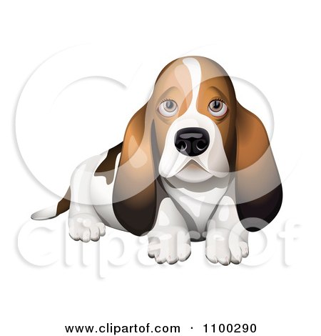 Clipart Basset Hound Puppy - Royalty Free Vector Illustration by Oligo