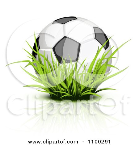 Clipart 3d Soccer Ball In Tall Grass - Royalty Free Vector Illustration by Oligo