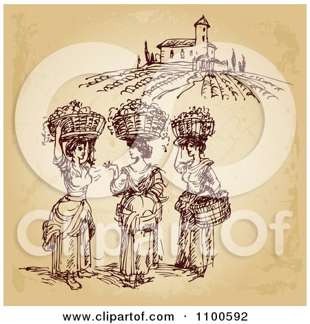 Clipart Brown Sketch Of Winery Worker Ladies With Baskets Of Grapes On Their Heads - Royalty Free Vector Illustration by Eugene