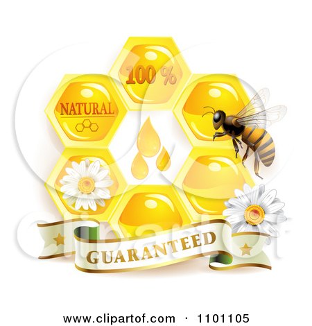 Clipart Honey Bee Over Honeycombs With Daisies And A Guaranteed Banner - Royalty Free Vector Illustration by merlinul