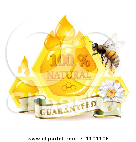 Clipart Honey Bee Overa Daisy Guarantee Banner Drops And Honeycombs - Royalty Free Vector Illustration by merlinul