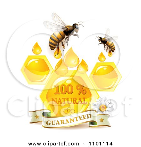 Clipart Honey Bees Over Honeycombs And Drops With A Daisy And Guaranteed Banner - Royalty Free Vector Illustration by merlinul
