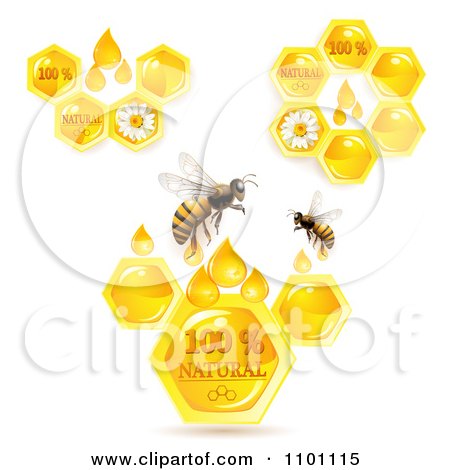 Clipart Honey Bees With Natural Honeycombs - Royalty Free Vector Illustration by merlinul