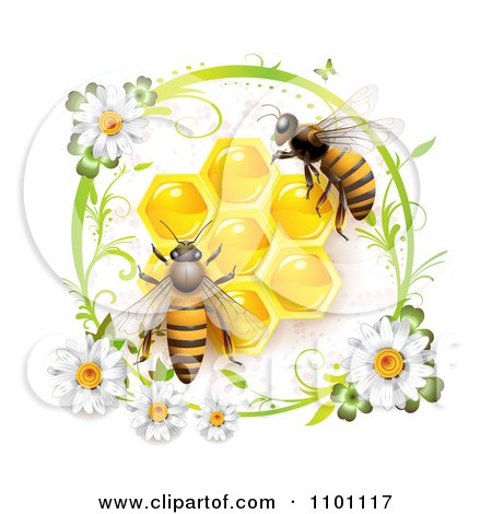 Clipart Honey Bees Over Honeycombs In A Green Daisy Frame - Royalty Free Vector Illustration by merlinul