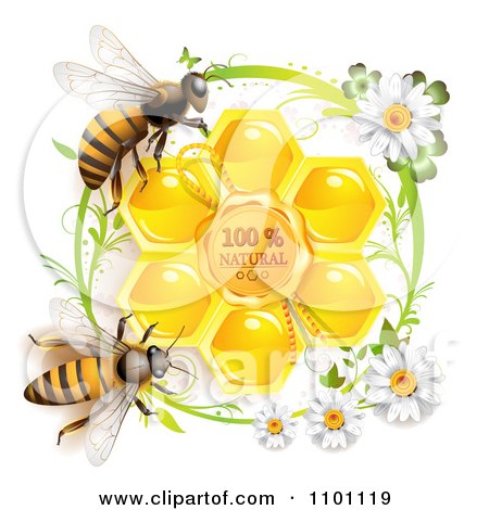 Clipart  Honey Bees Over Natural Honeycombs In A Green Daisy Frame - Royalty Free Vector Illustration by merlinul