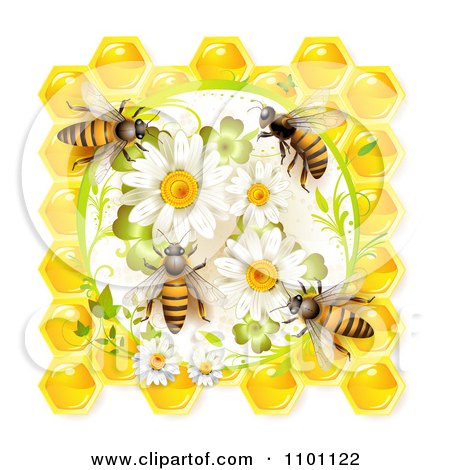 Clipart Honey Bees On Daisies Clovers And Honeycombs - Royalty Free Vector Illustration by merlinul