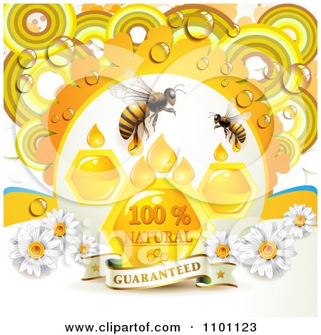 Clipart Honey Bees With Drops Combs And Daisies With Dew And A Guaranteed Banner - Royalty Free Vector Illustration by merlinul