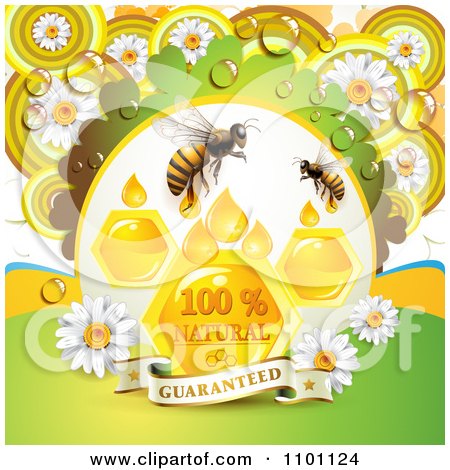 Clipart Bees With Honey Drops Combs And Daisies With Dew And A Guaranteed Banner - Royalty Free Vector Illustration by merlinul