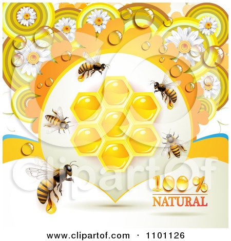Clipart Honey Bees With Combs And Daisies - Royalty Free Vector Illustration by merlinul