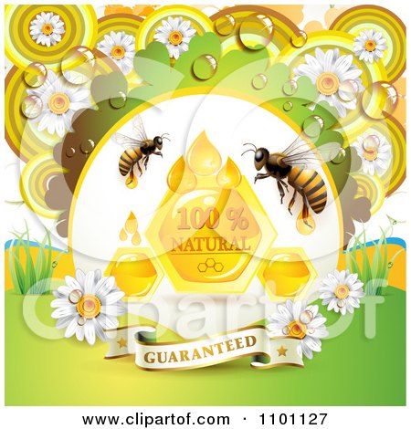 Clipart Honey Bees With Drops A Comb And Daisies With Dew And A Guaranteed Banner - Royalty Free Vector Illustration by merlinul