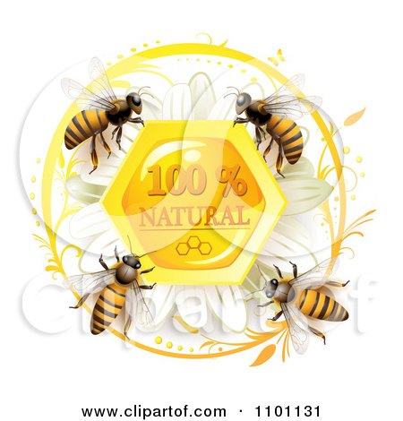 Clipart Honey Bees Over A Natural Honeycombs With A Daisy - Royalty Free Vector Illustration by merlinul