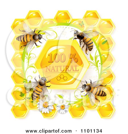 Clipart  Honey Bees Over Natural Honeycombs In A Daisy Frame - Royalty Free Vector Illustration by merlinul