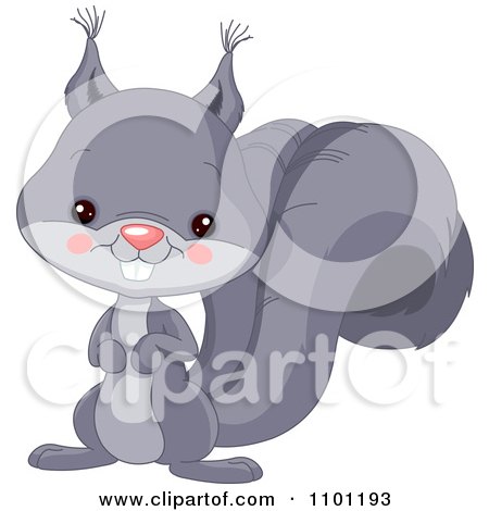Clipart Happy Cute Gray Squirrel - Royalty Free Vector Illustration by Pushkin