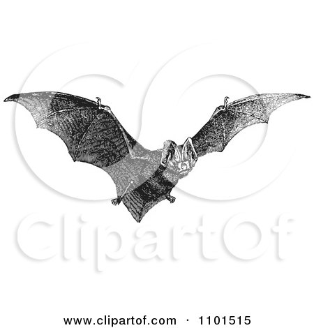 Clipart Retro Black And White Flying Bat - Royalty Free Vector Illustration by BestVector