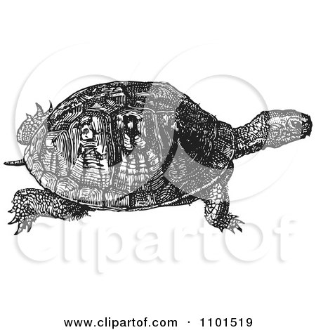 Clipart Retro Black And White Turtle - Royalty Free Vector Illustration by BestVector