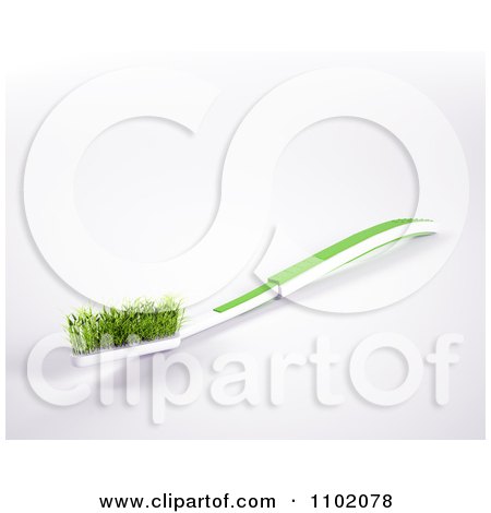 Clipart 3d Grassy Tooth Brush 2 - Royalty Free CGI Illustration by Mopic